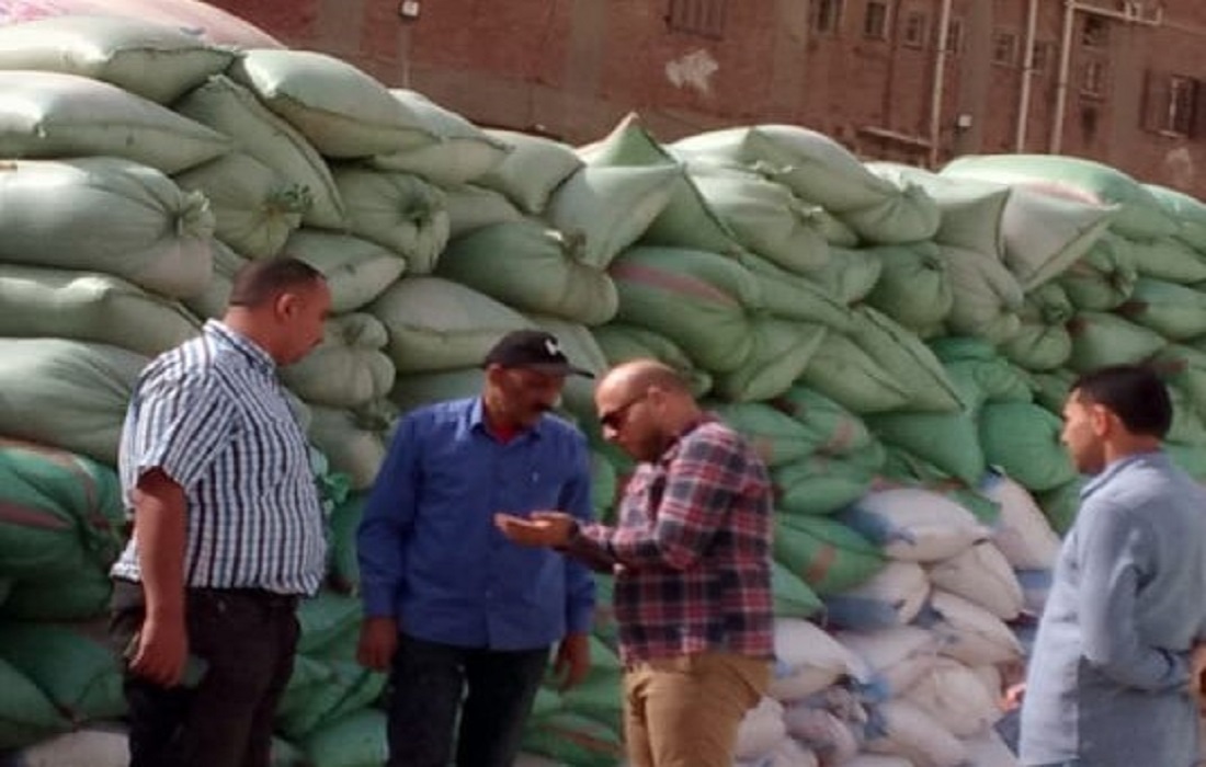 استلام 279.3 ألف طن قمح محلي بالصوامع والشُون