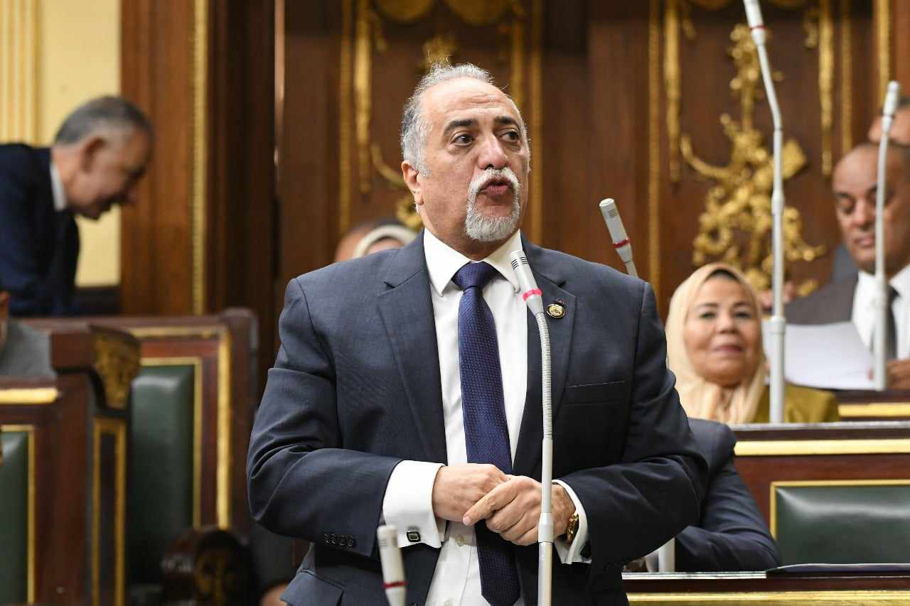 القصبي يكشف ملامح تعديلات قوانين انتخابات البرلمان