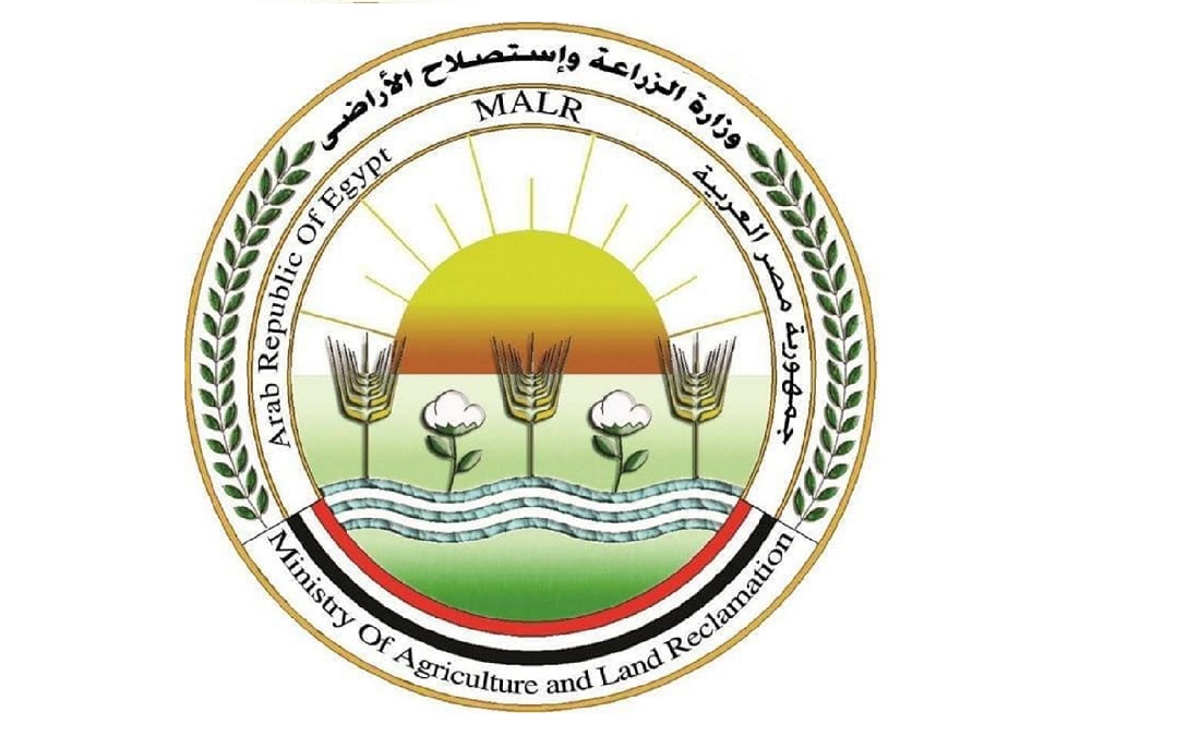 الخدمات البيطرية تطلق الحملة القومية لتحصين الماشية