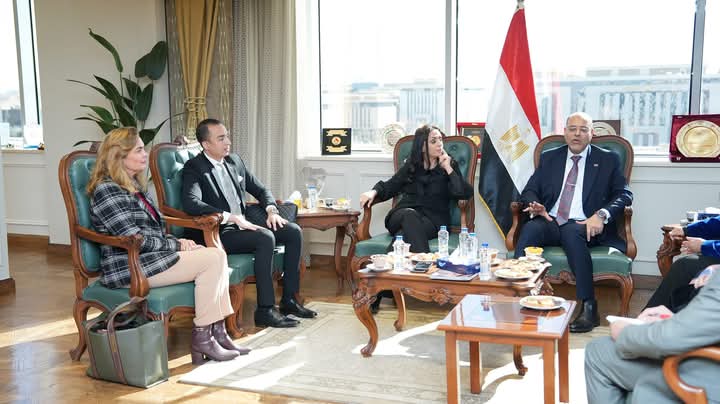 الحكومة تعد مشروع قانون حماية العمالة المنزلية