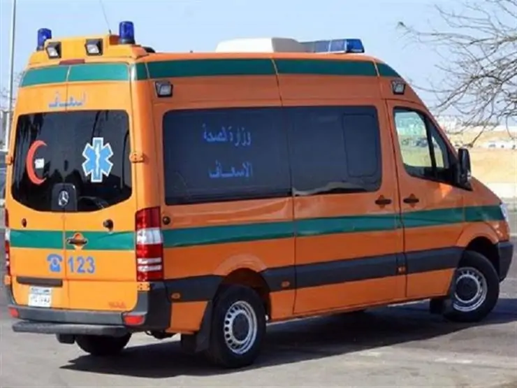 حادث مروع علي طريق بدهل - منشية ابومليح